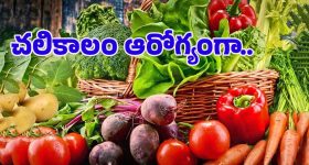 Vizag Chandrababu: వైజాగ్ కి చంద్రబాబు కొత్త నిర్వచనం.. ఎకనమిక్ రీజియన్ రీజియన్ అభివృద్ధికి ప్రణాళికలు