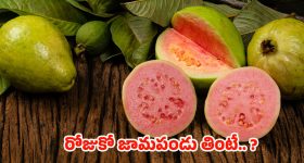 Congress Vs BJP: లైవ్‌లో పొట్టు పొట్టు కొట్టుకున్న కాంగ్రెస్, బీజేపీ లీడర్స్..