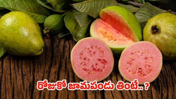 Guava: డైలీ ఒక జామపండు తింటే.. ఈ వ్యాధులన్నీ పరార్ !