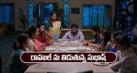 Brahmamudi Serial Today December 1st: ‘బ్రహ్మముడి’ సీరియల్‌: రాహుల్ ను తిట్టిన సుభాష్ - రాజ్ ను జాగ్రత్తగా ఉండమన్న ప్రకాష్