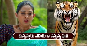 Brahmamudi Serial Today December 3rd: ‘బ్రహ్మముడి’ సీరియల్‌:  రుద్రాణికి క్లారిటీ ఇచ్చిన రాహుల్