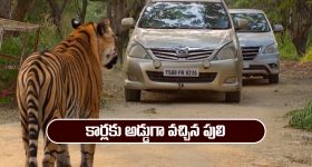 Delhi News: నేటి నుంచి పార్లమెంటు శీతాకాల సమావేశాలు, 14 కీలక బిల్లులు, విపక్షాల చూపంతా అటే