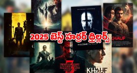 Year Ender 2025 : 2025లో వచ్చిన బెస్ట్ హర్రర్ హిట్స్... వీటిని చూడాలంటే హనుమాన్ చాలీసా పక్కనుండాల్సిందే