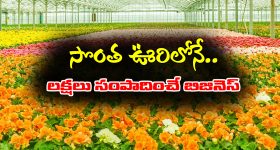 Indigo Effect: హైదరాబాద్ నుంచి విమాన టికెట్ ధర.. అక్షరాలా రూ.లక్ష!