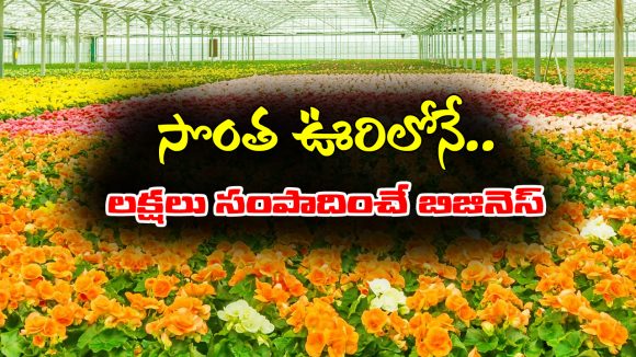 Floriculture: సొంతూరిలోనే లక్షలు సంపాదించే బిజినెస్‌ – ఇంత వరకు ఎవ్వరూ చెప్పని వ్యాపారం ఇదే
