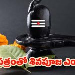 Bel Patra: శివపూజలో బిల్వ పత్రం వాడితే.. కోటి యాగాల ఫలం దక్కుతుందట !