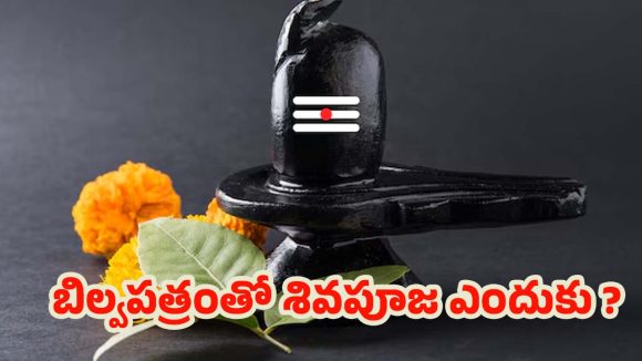 Bel Patra: శివపూజలో బిల్వ పత్రం వాడితే.. కోటి యాగాల ఫలం దక్కుతుందట !