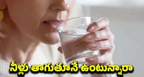Polydipsia: మితిమీరిన దాహం.. ఇది కేవలం డీహైడ్రేషన్ మాత్రమే కాదు, అంతకు మించి !
