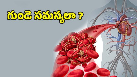 Heart Blockage: మీ గుండె ఆరోగ్యం ప్రమాదంలో ఉందా? ఈ 5 లక్షణాలు కనిపిస్తే వెంటనే అలర్ట్ అవ్వండి