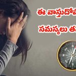 Vastu Tips: ఈ వాస్తు దోషాలుంటే.. ఇంట్లో వారికి ఆరోగ్య సమస్యలు తప్పవు !