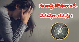 Vastu Tips: ఈ వాస్తు దోషాలుంటే.. ఇంట్లో వారికి ఆరోగ్య సమస్యలు తప్పవు !