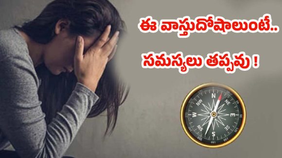 Vastu Tips: ఈ వాస్తు దోషాలుంటే.. ఇంట్లో వారికి ఆరోగ్య సమస్యలు తప్పవు !