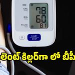 Low Blood Pressure: సైలెంట్ కిల్లర్‌గా మారే లో బీపీ.. దీన్ని అస్సలు లైట్ తీసుకోవద్దు