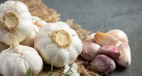 Garlic: కొలెస్ట్రాల్‌కి చెక్ పెట్టే అద్భుత ఔషధం.. పచ్చి వెల్లుల్లిని తీసుకునే సరైన పద్ధతి ?