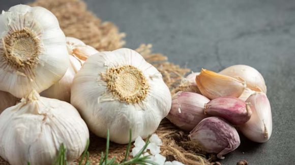 Garlic: కొలెస్ట్రాల్‌కి చెక్ పెట్టే అద్భుత ఔషధం.. పచ్చి వెల్లుల్లిని తీసుకునే సరైన పద్ధతి ?
