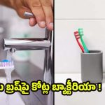 Toothbrush: టూత్‌బ్రష్‌‌పై 10 మిలియన్ల జెర్మ్స్.. బాత్రూమ్‌లో మాత్రం అస్సలు వద్దు!