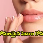 Lip Pigmentation: పెదాలు నల్లగా మారాయా ? ఈ టిప్స్ పాటిస్తే బెస్ట్ రిజల్ట్
