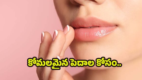 Lip Pigmentation: పెదాలు నల్లగా మారాయా ? ఈ టిప్స్ పాటిస్తే బెస్ట్ రిజల్ట్