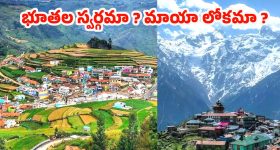 Life Lessons: నీ విలువ నీకు తెలుసా? రాజీ లేని జీవితమే అసలైన గెలుపు