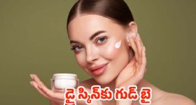 Homemade Moisturizer: పొడి చర్మానికి గుడ్‌బై.. ఇంట్లోనే వింటర్ క్రీమ్ తయారు చేసుకోండిలా !