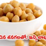 Boiled Chana: రోజుకో గుప్పెడు ఉడికించిన శనగలు.. శరీరానికి అద్భుతమైన ప్రొటీన్ బూస్టర్ !