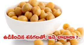 Toyota Mini Land Cruiser: రగ్డ్ డిజైన్, స్మార్ట్ టెక్.. టయోటా మినీ ల్యాండ్ క్రూయిజర్ వచ్చేస్తోంది!