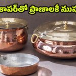 Copper Utensils: రాగి పాత్రల్లో.. ఈ ఆహారాలు వండుతున్నారా ? జాగ్రత్త