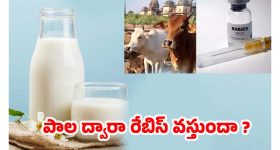 Siddu jonnalagadda: ఆ రెండు సినిమాలను పక్కన పెట్టి.. కొత్త ప్రాజెక్ట్ సెట్ చేసుకున్న జొన్నలగడ్డ