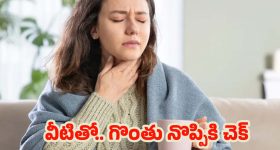 Mahavatar Narsimha Movie: పాక్‌ గడ్డపై మహావతార్‌ నరసింహా ప్రదర్శన.. భక్తి పారవశ్యంలో పాకిస్తానీలు‌