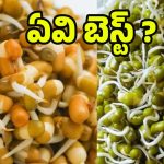 Steamed Sprouts Vs Raw Sprouts: ఆవిరి పట్టించిన మొలకలు Vs పచ్చి మొలకలు, పోషకాల పరంగా ఏవి బెస్ట్ ?