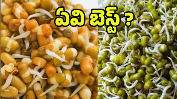 Steamed Sprouts Vs Raw Sprouts: ఆవిరి పట్టించిన మొలకలు Vs పచ్చి మొలకలు, పోషకాల పరంగా ఏవి బెస్ట్ ?