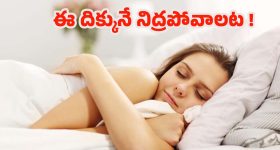 Vastu Tips: ఏ దిశలో నిద్రించాలి ? వాస్తు, సైన్స్ చెప్పే విషయాలివే !