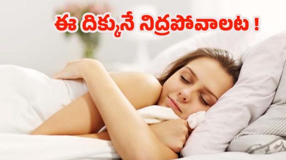 Vastu Tips: ఏ దిశలో నిద్రించాలి ? వాస్తు, సైన్స్ చెప్పే విషయాలివే !