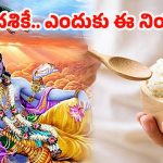 Ekadashi: మోక్ష సాధనలో అన్నం అడ్డుపడుతుందా? ఏకాదశి నియమాలు..