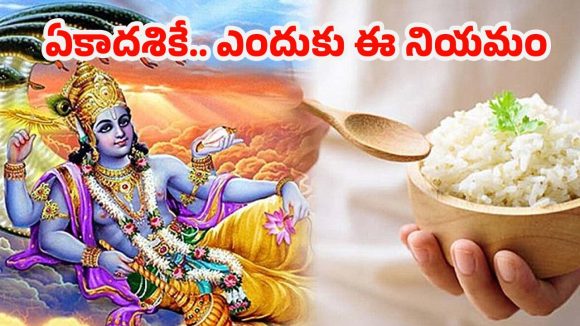 Ekadashi: మోక్ష సాధనలో అన్నం అడ్డుపడుతుందా? ఏకాదశి నియమాలు..