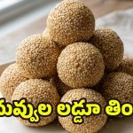 Sesame laddu: ప్రతిరోజూ ఒక నువ్వుల లడ్డూ తింటే.. చలికాలంలో డాక్టరుతో పనే ఉండదు !