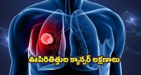 Aus vs Eng 2nd Test: యాషెస్‌ సిరీస్ లో ఇదేం అరాచ‌కం రా..బీర్ లాగే మూత్రం తాగేసిన అభిమాని