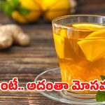 FSSAI On Herbal Infusions: ఇక వాటిని హెర్బల్ టీ అనొద్దు.. FSSAI కీలక ఆదేశాలు