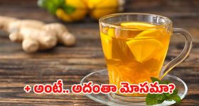 FSSAI On Herbal Infusions: ఇక వాటిని హెర్బల్ టీ అనొద్దు.. FSSAI కీలక ఆదేశాలు
