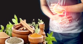 Grok: గ్రోక్‌ను రూ.2 వేలు అప్పు అడిగిన నెటిజన్.. దాని సమాధానం తెలిస్తే షాకవుతారు!