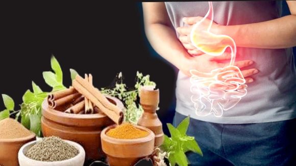 Digestive System: ఆరోగ్యకరమైన జీర్ణక్రియ కోసం.. 5 ఆయుర్వేద సూత్రాలు
