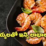 Prawns: రొయ్యలు తింటున్నారా ? ముందుగా ఈ విషయాలు తెలుసుకోండి