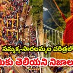Sammakka Sarakka Jatara 2026: తెలంగాణ ఆత్మగౌరవ ప్రతీకలు.. అద్భుత శక్తి రూపాలు, సమ్మక్క సారలమ్మలు