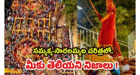 Sammakka Sarakka Jatara 2026: తెలంగాణ ఆత్మగౌరవ ప్రతీకలు.. అద్భుత శక్తి రూపాలు, సమ్మక్క సారలమ్మలు