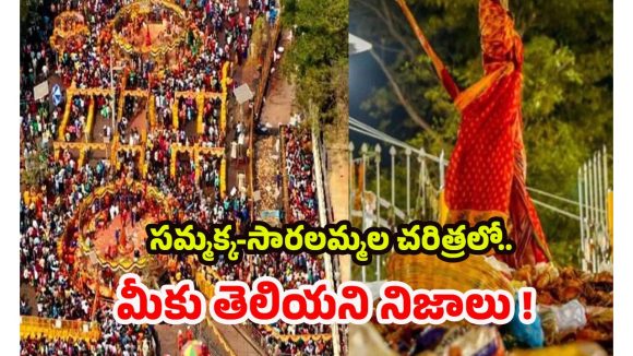 Sammakka Sarakka Jatara 2026: తెలంగాణ ఆత్మగౌరవ ప్రతీకలు.. అద్భుత శక్తి రూపాలు, సమ్మక్క సారలమ్మలు