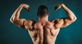 Human Body: మీ శరీరం గురించి తప్పక తెలుసుకోవాల్సిన 20 అపోహలు, అసలు వాస్తవాలు ఇవే !