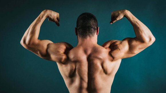 Human Body: మీ శరీరం గురించి తప్పక తెలుసుకోవాల్సిన 20 అపోహలు అసలు