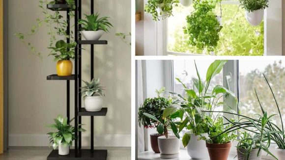 Plants: చిన్న స్థలంలో పెరిగే.. 6 బెస్ట్ ఎయిర్ ప్యూరిఫైయింగ్ ప్లాంట్స్