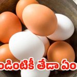 Egg Colours: గుడ్డు పెంకు రంగు వెనుక ఉన్న సైన్స్.. పోషక విలువల్లో తేడా ఉంటుందా ?