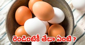 Egg Colours: గుడ్డు పెంకు రంగు వెనుక ఉన్న సైన్స్.. పోషక విలువల్లో తేడా ఉంటుందా ?